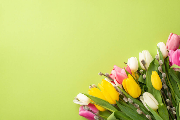 Springtime concept. Top view photo of bouquet of flowers pussy willow ans fresh colorful tulips on isolated light green background with blank space - Foto, Imagem