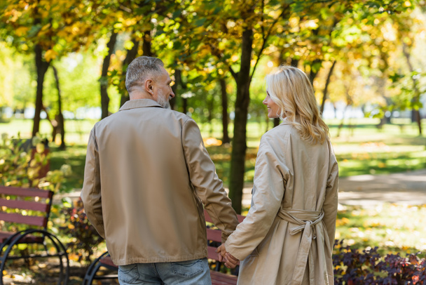 Вид на беззаботную пару средних лет, держащуюся за руки во время прогулки в парке  - Фото, изображение
