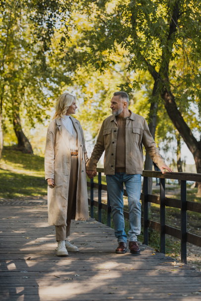 Side view of middle aged couple talking and holding hands on bridge in park  - Fotografie, Obrázek