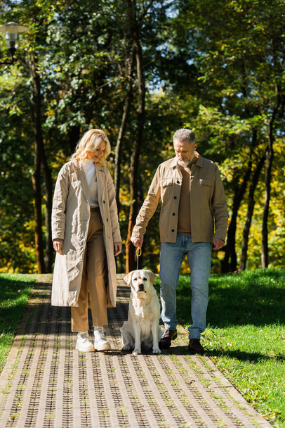 Θετικό ζευγάρι μέσης ηλικίας που περπατά με λαμπραντόρ στο πάρκο άνοιξη  - Φωτογραφία, εικόνα