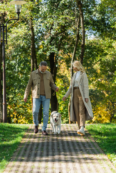 Positive woman in trench coat walking near husband and labrador in park  - Foto, Bild