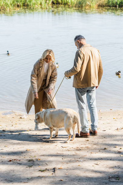 Smiling blonde woman spending time with labrador and husband near lake in park  - Фото, изображение