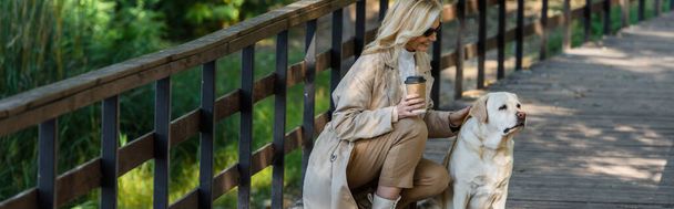 Cheerful blonde woman holding coffee to go and petting labrador on bridge in park, banner  - Foto, Bild