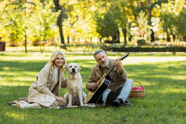 barbudo hombre de mediana edad tocando la guitarra acústica cerca de esposa despreocupada y perro labrador durante el picnic en el parque  - Foto, imagen