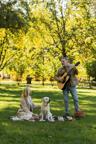 vousatý muž středního věku stojící poblíž manželky a labrador pes při hraní na akustickou kytaru v parku  - Fotografie, Obrázek
