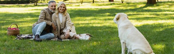 happy middle aged couple looking at labrador dog while sitting on blanket during picnic in park, banner  - Foto, imagen
