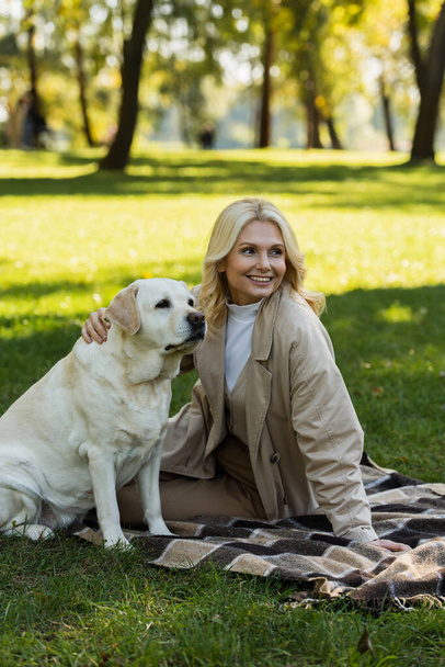 happy middle aged woman with blonde hair cuddling labrador dog while sitting on blanket in park  - 写真・画像
