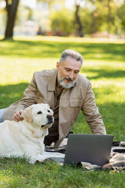 pleased middle aged man with grey beard cuddling labrador dog while watching movie on laptop during picnic in park  - Foto, afbeelding