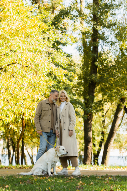 casal feliz em traje casual saindo com cão labrador no parque verde durante a primavera  - Foto, Imagem