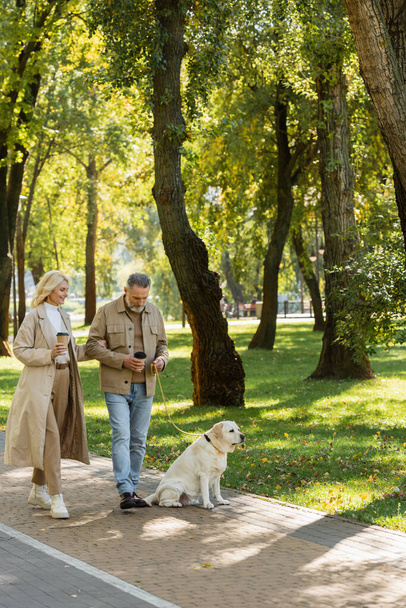 happy middle aged couple holding coffee to go and walking out with labrador dog in park during springtime  - Photo, Image