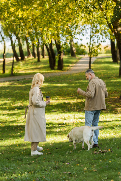 blonde middle aged woman holding coffee to go and walking out with happy husband and labrador in park  - Foto, imagen