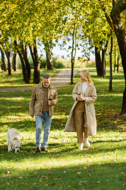 joyeuse femme d'âge moyen tenant du café pour aller et regardant mari sortir avec labrador dans le parc au printemps  - Photo, image