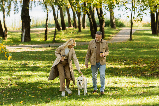 heureux couple d'âge moyen tenant du café pour aller et sortir avec chien labrador dans le parc pendant le printemps  - Photo, image