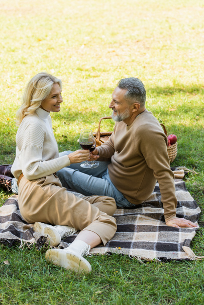 happily married mature couple clinking glasses with red wine during picnic in green park - Photo, Image
