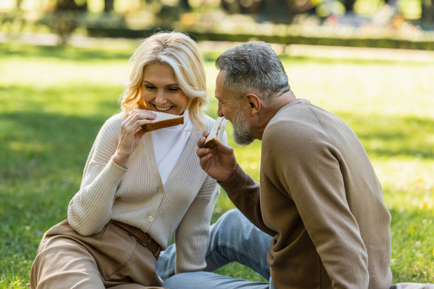 feliz pareja de mediana edad comiendo sabrosos sándwiches de club durante el picnic en el parque verde  - Foto, Imagen