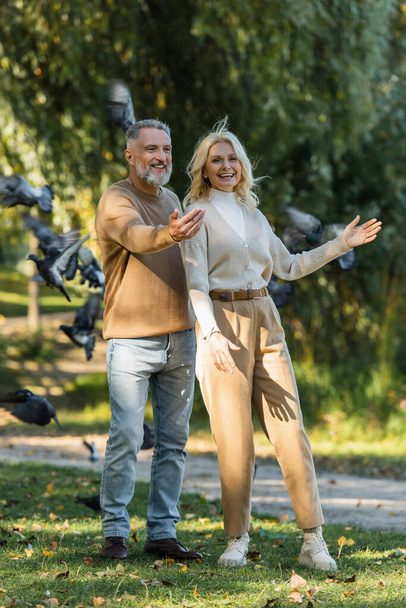 full length of happy middle aged couple standing near flying pigeons in park  - Photo, Image