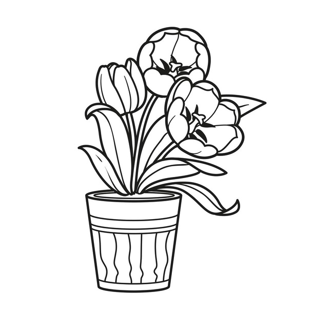 Three tulips flowers in pot coloring book linear drawing isolated on white background - Vektor, obrázek