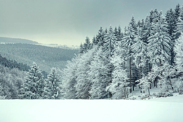 Wintry landscape near Masserberg in Thuringia, Germany - Photo, image