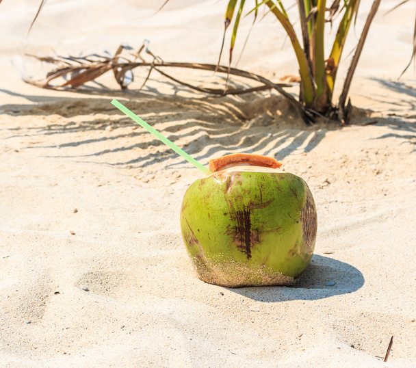 Coconut water drink - Photo, image