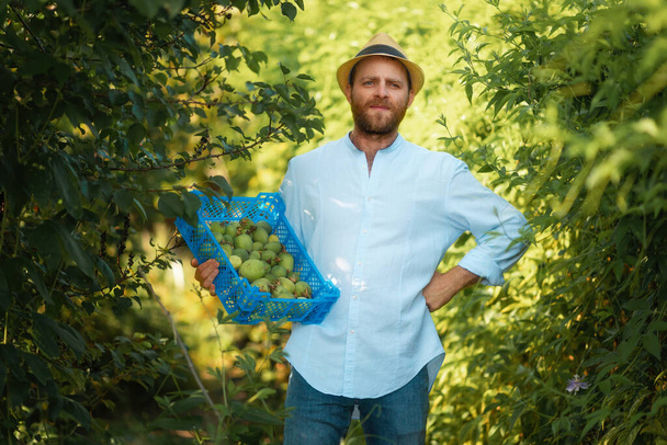 Día de la Tierra. Retrato de un apuesto jardinero caucásico en un sombrero de paja sostiene una caja con una cosecha de maracuyá en las manos. El concepto de cosecha y jardinería. - Foto, imagen