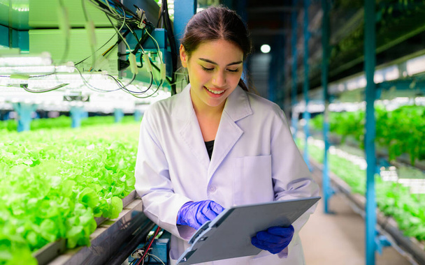 Plant researcher working on research at plantation in industrial hydroponic greenhouse, Smart farm with technology, People with indoor farm factory, Researcher checking and working with vegetable at - Foto, afbeelding