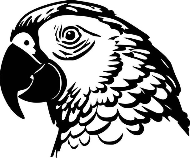Ilustracja wektora papugi, na odosobnionym tle, SVG - Wektor, obraz
