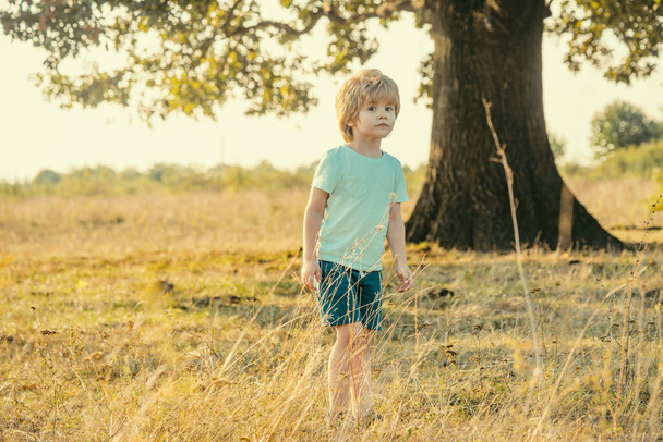 Funny child boy 5 years old on meadow in summer in nature. Happy child boy on field. Kid having fun at countryside - Foto, imagen