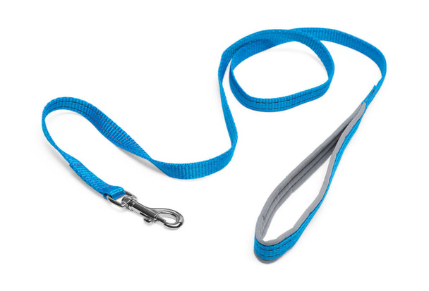 Light blue dog leash isolated on white - Fotó, kép