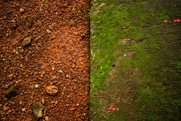 Naturalne chodnik czerwony zielony tekstura tło - Zdjęcie, obraz