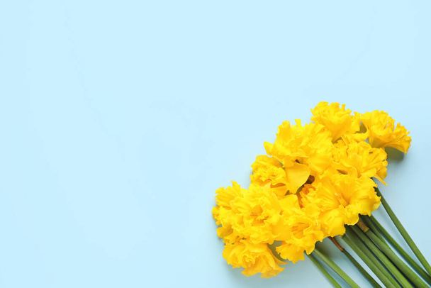Krásné narcisy květiny na barevném pozadí - Fotografie, Obrázek