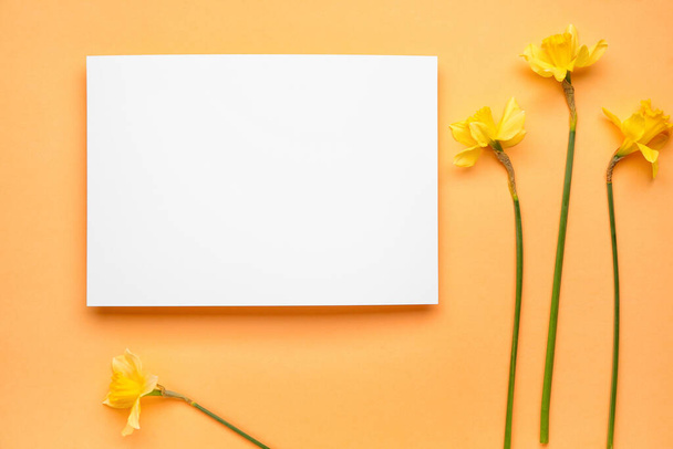Beautiful narcissus and rectangular blank card on color background - Photo, Image