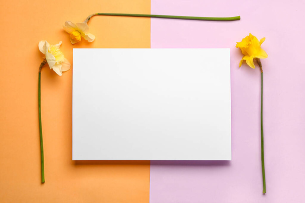 Όμορφη νάρκισσος και ορθογώνια κενή κάρτα στο φόντο χρώμα - Φωτογραφία, εικόνα