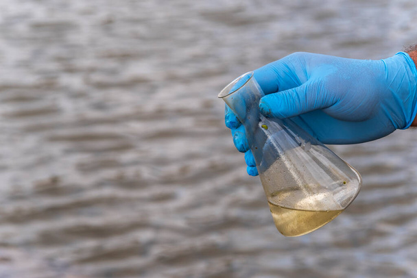 A water sample from the river. Hand in glove collects water in a test tube. ecology concept - Фото, зображення