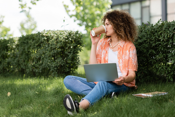 young woman with curly hair drinking coffee to go and using laptop while sitting on grass  - Fotoğraf, Görsel