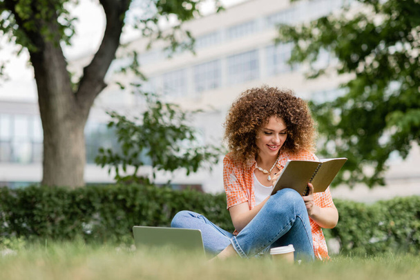 mujer freelancer feliz con el pelo rizado sosteniendo portátil cerca de la computadora portátil y sentado en el césped en el parque verde  - Foto, Imagen