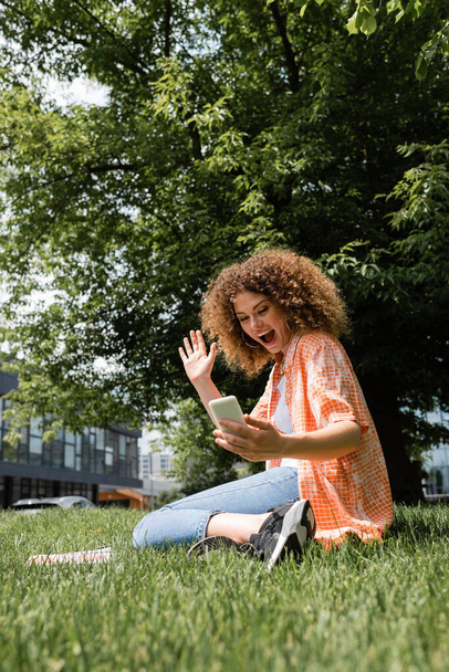 excited woman with curly hair waving hand during video call on smartphone while sitting on lawn in green park  - Foto, Imagen