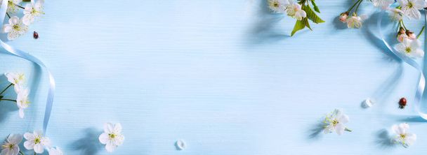 Περίγραμμα λουλουδιών άνοιξης σε μπλε φόντο, περίγραμμα λευκών ανθίσεων άνοιξης, πλαίσιο λουλουδιών άνοιξης με χώρο αντιγραφής - Φωτογραφία, εικόνα