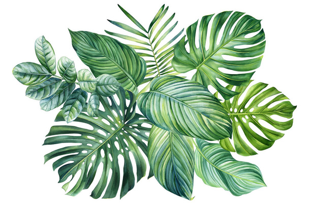 Palm leaf on isolated background, hand drawn watercolor painting. Green tropic composition, tropical poster. High quality illustration - Zdjęcie, obraz