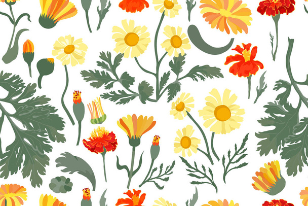 Seamless pattern with vibrant garden flowers. Multicolored flower parts are isolated on the white background. Hand-drawn parts of the marigold, calendula, chamomile, and rose fruits. - Vektor, kép