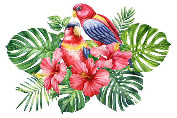 Pájaro de remolque ilustración acuarela dibujo a mano, loro, hojas tropicales y flores, fondo blanco aislado, postal. ilustración de alta calidad - Foto, imagen