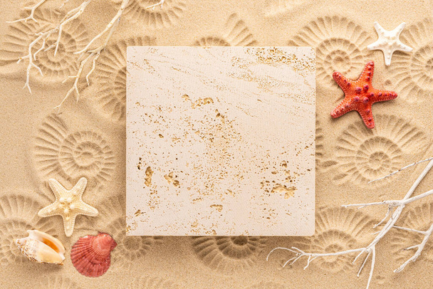 Summer concept with sea and earth natural material.Ammonite print on sea sand and travertine stone. Top view. Copy space. - Фото, зображення