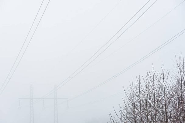 Baum vor Stromleitungen im Nebel - Foto, Bild