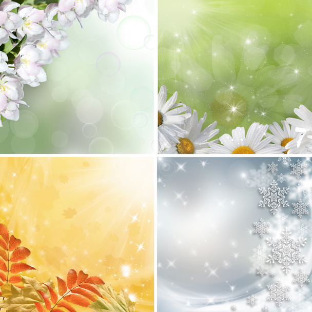Four seasons - Photo, Image