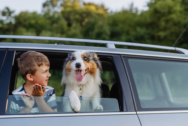 小さな女の子と彼女の犬は車の中で座って、家族旅行の準備, - 写真・画像