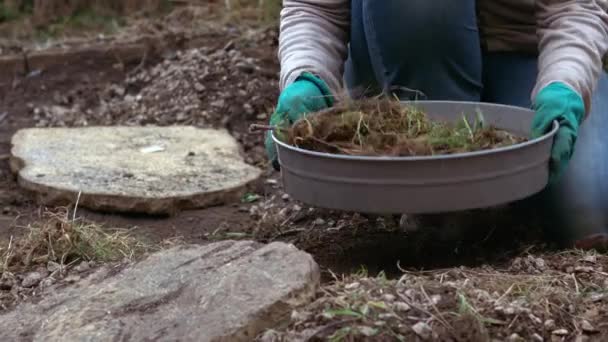 Puutarhuri seulonta maaperän maaperän seulan kasvien keskipitkän hidastettuna zoom laukaus valikoiva painopiste - Materiaali, video