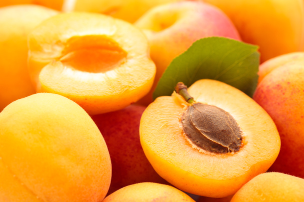 Abricots frais
. - Photo, image