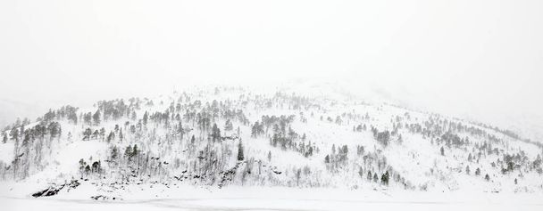 Talvimaisema Jonsvatnet-järven jäätyneet rannat lähellä Trondheimia, Norjaa., Eurooppa - Valokuva, kuva