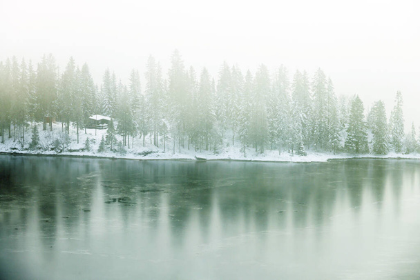 Χειμερινό ομιχλώδες τοπίο κοντά στις παγωμένες ακτές της λίμνης Jonsvatnet κοντά στο Trondheim της Νορβηγίας. Χειμώνας. - Φωτογραφία, εικόνα