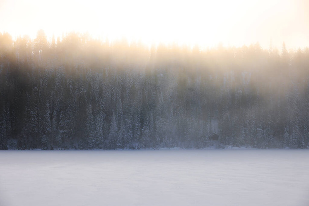 Χειμερινό ομιχλώδες τοπίο κοντά στις παγωμένες ακτές της λίμνης Jonsvatnet κοντά στο Trondheim της Νορβηγίας. Χειμώνας. - Φωτογραφία, εικόνα
