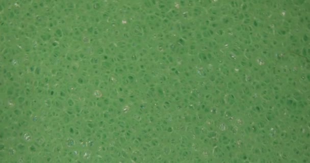 szorstka gąbka do zmywania naczyń z grubymi porami i szmata pod mikroskopem - Materiał filmowy, wideo